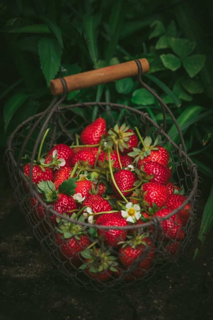 Photo by Heather Barnes strawberries in metal basket