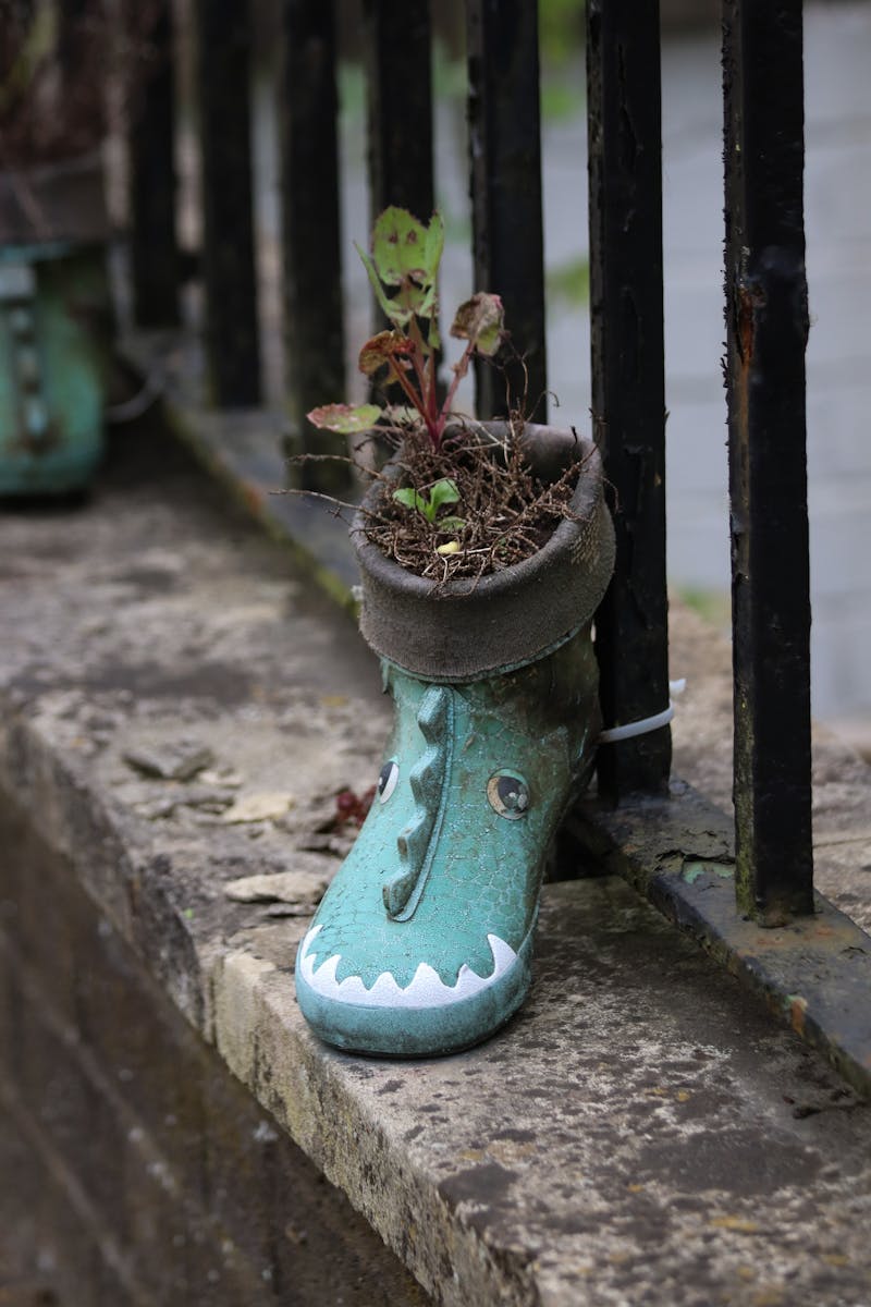 A quirky plant grows from a boot-shaped planter on a city railing niche, showcasing urban creativity.