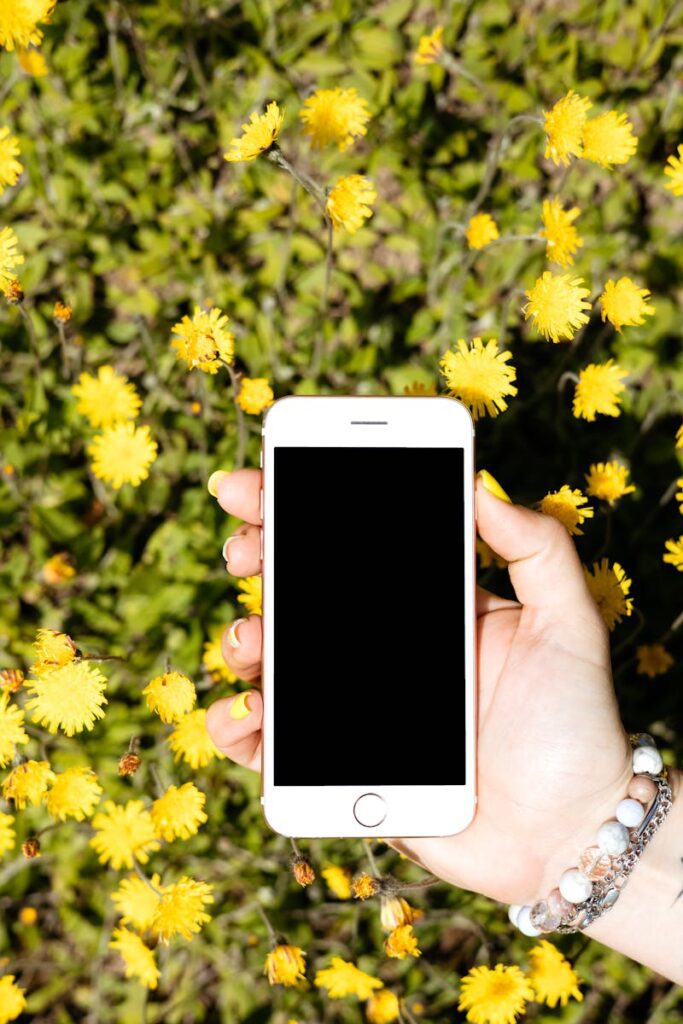 Photo by Anna Nekrashevich A hand holds a smartphone amidst blooming yellow flowers, providing a creative background for device mockups.