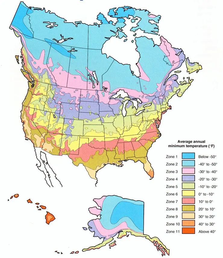 Plant Hardiness Zones