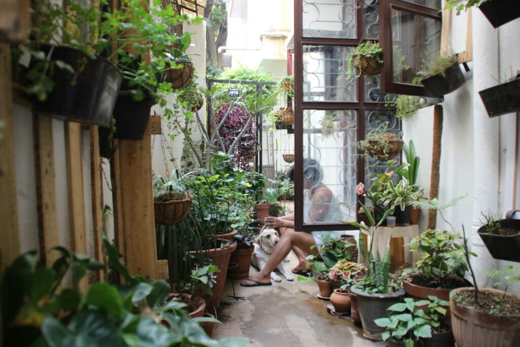 Photo by Smrithi Rao green potted plant on brown clay pot