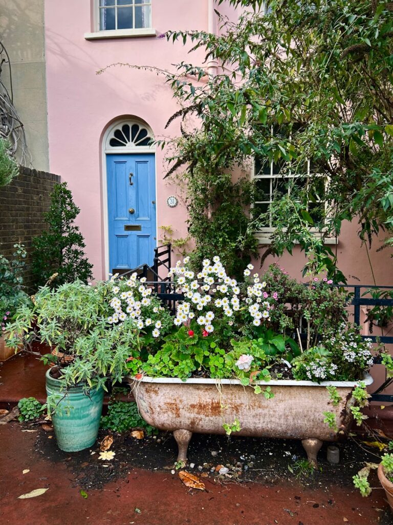 Photo by CrowN a bath tub filled with flowers next to a pink house